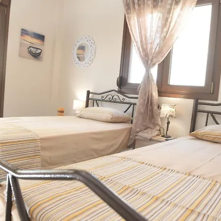 Magnolia 사코우디아