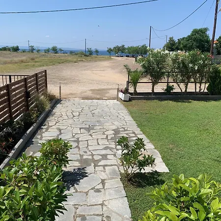 Magnolia 사코우디아