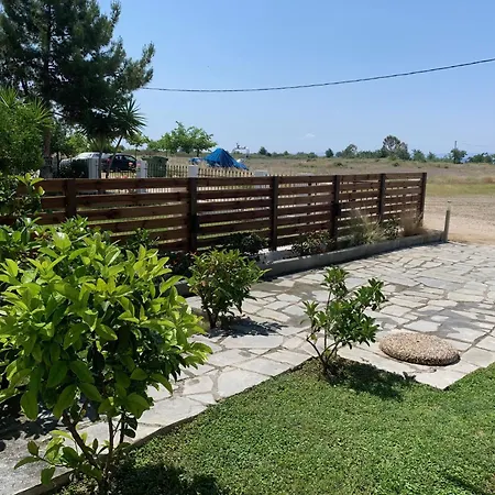 Magnolia 사코우디아